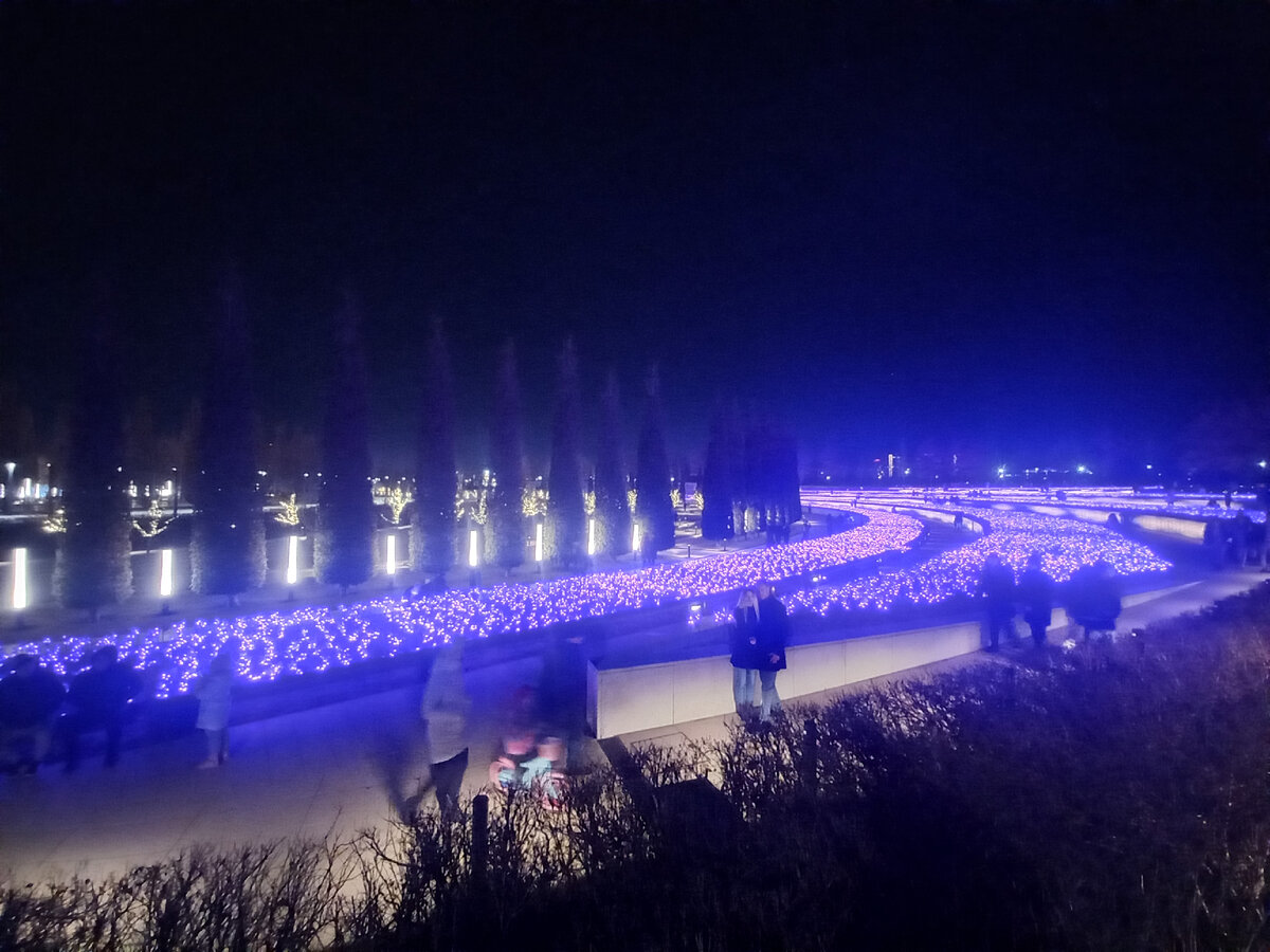 Светящиеся цветы