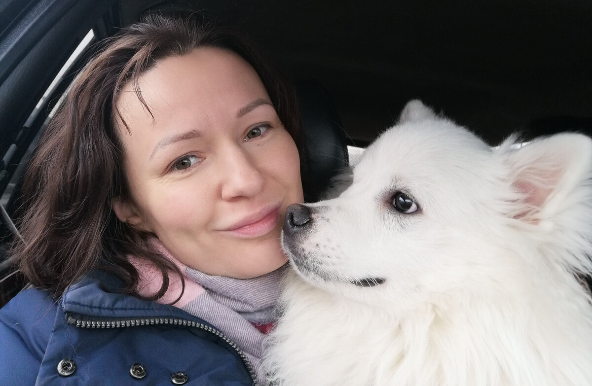 История не про Собакена, но именно он самоотверженно помогает мне пережить весь этот стресс