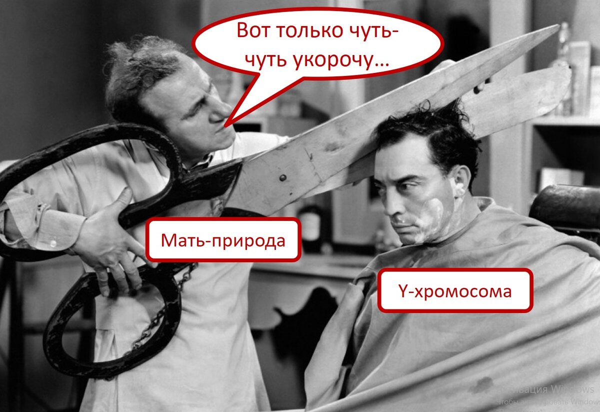 Иллюстрация сделана на основе источника: https://s.mediasole.ru/images/195/195874/original.jpg