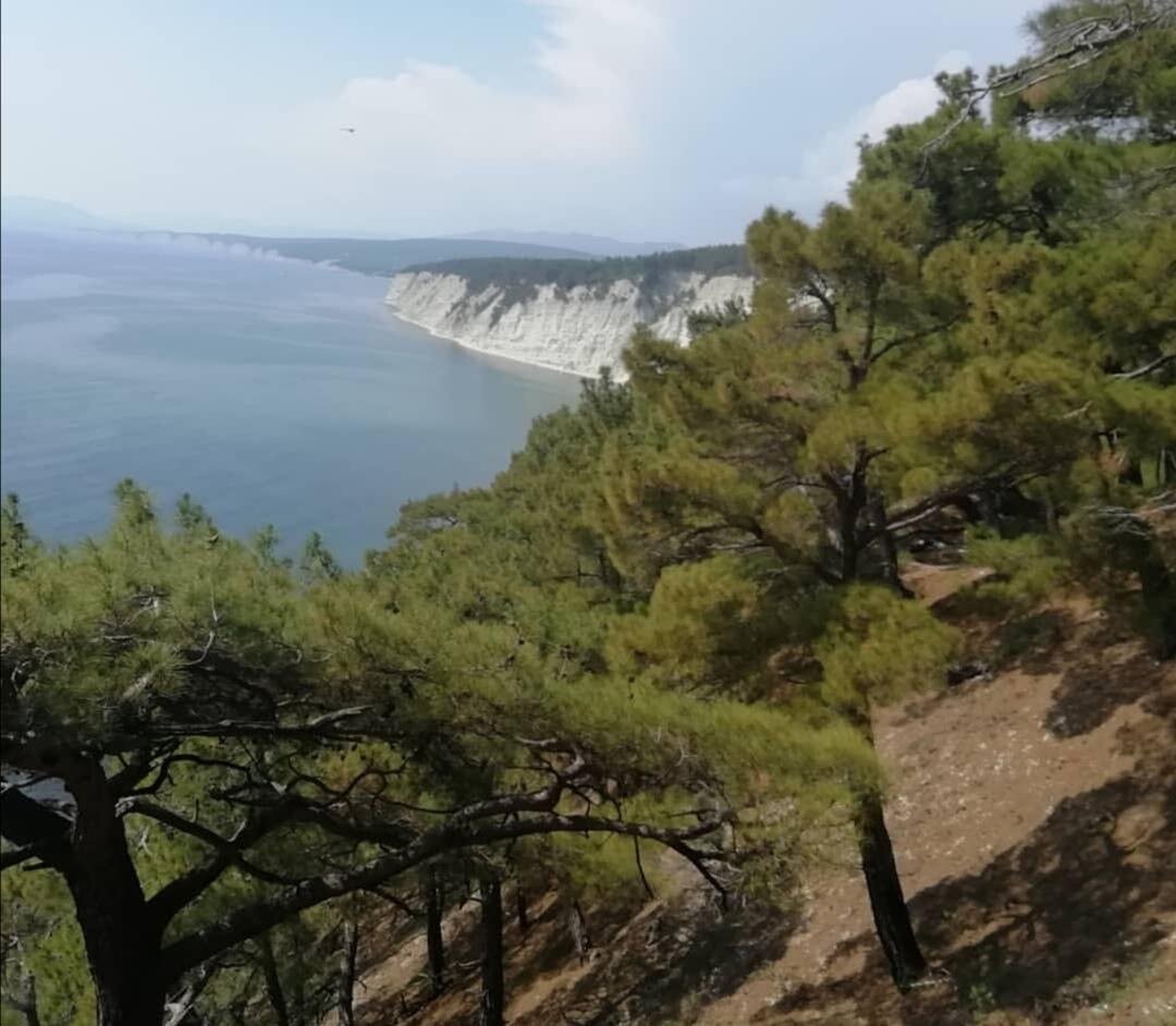 Голубая бездна в геленджике фото