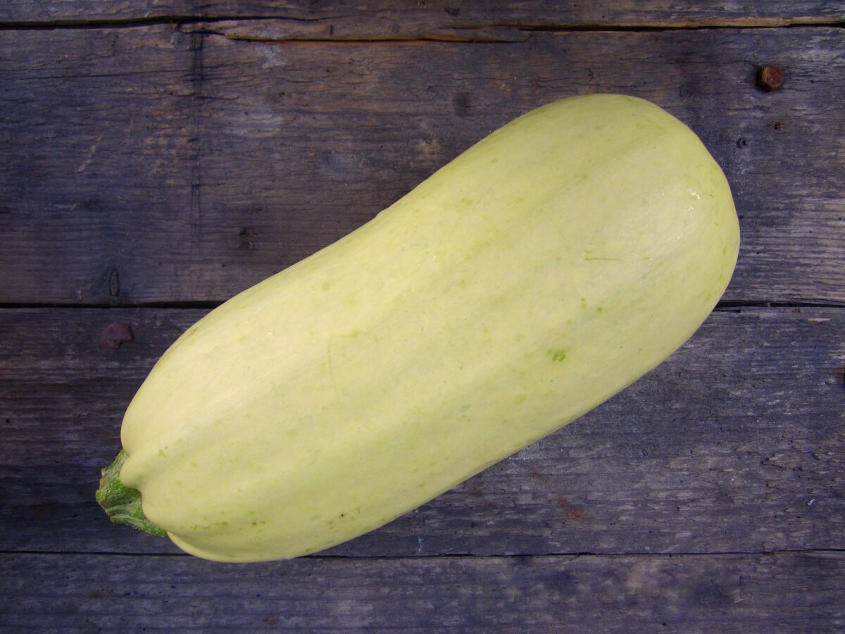 Идеальный кабачок для сушки - крупный и даже перезрелый.