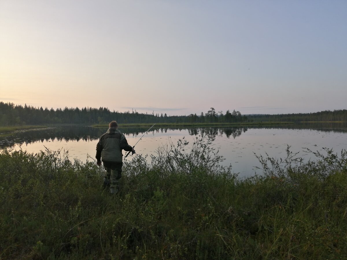 Началась разведка