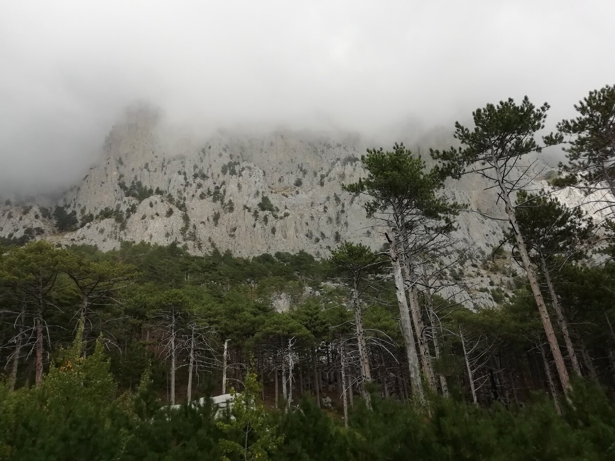 Подходим к скале с юго-востока.