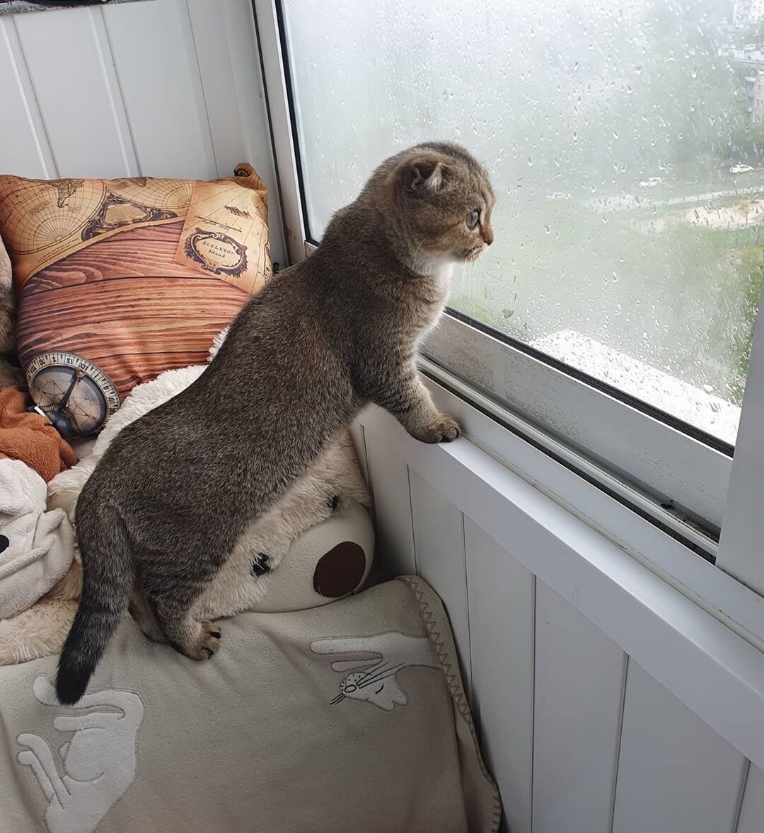 Источник: instagram.com