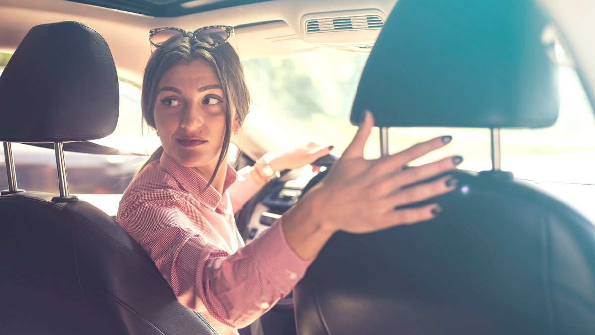 Изображение взято с canva.com