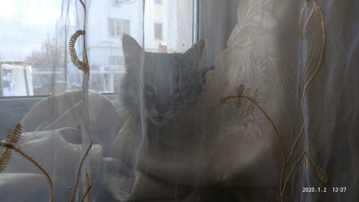 Зимой на улицу не пускают, как не жалоби 🙁