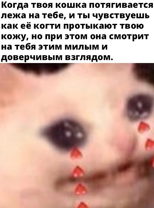 Помоему такое случалось с каждым у кого есть кот