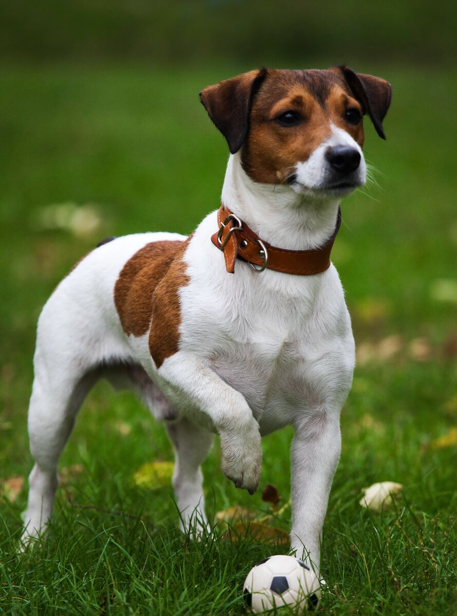 Фото взято из других интернет-ресурсов