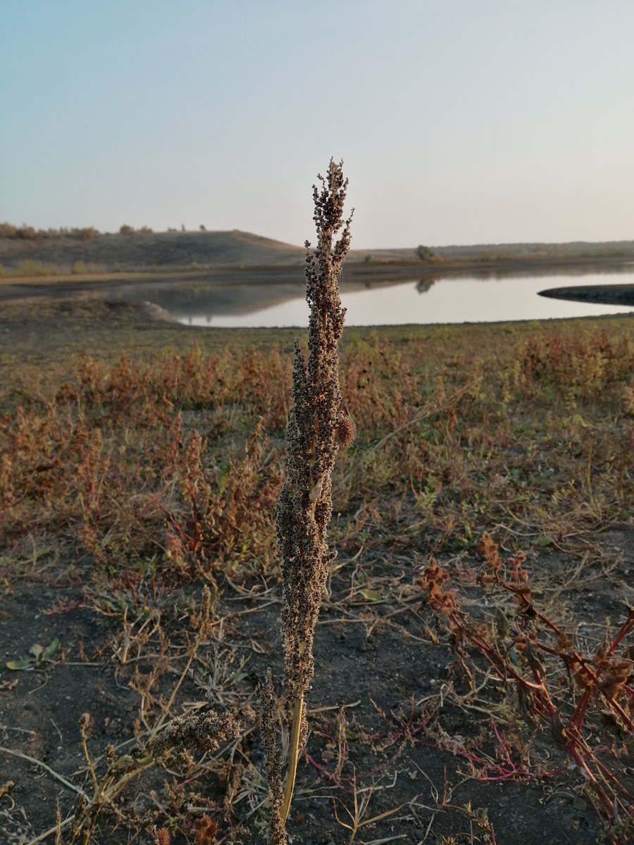 Личное фото.