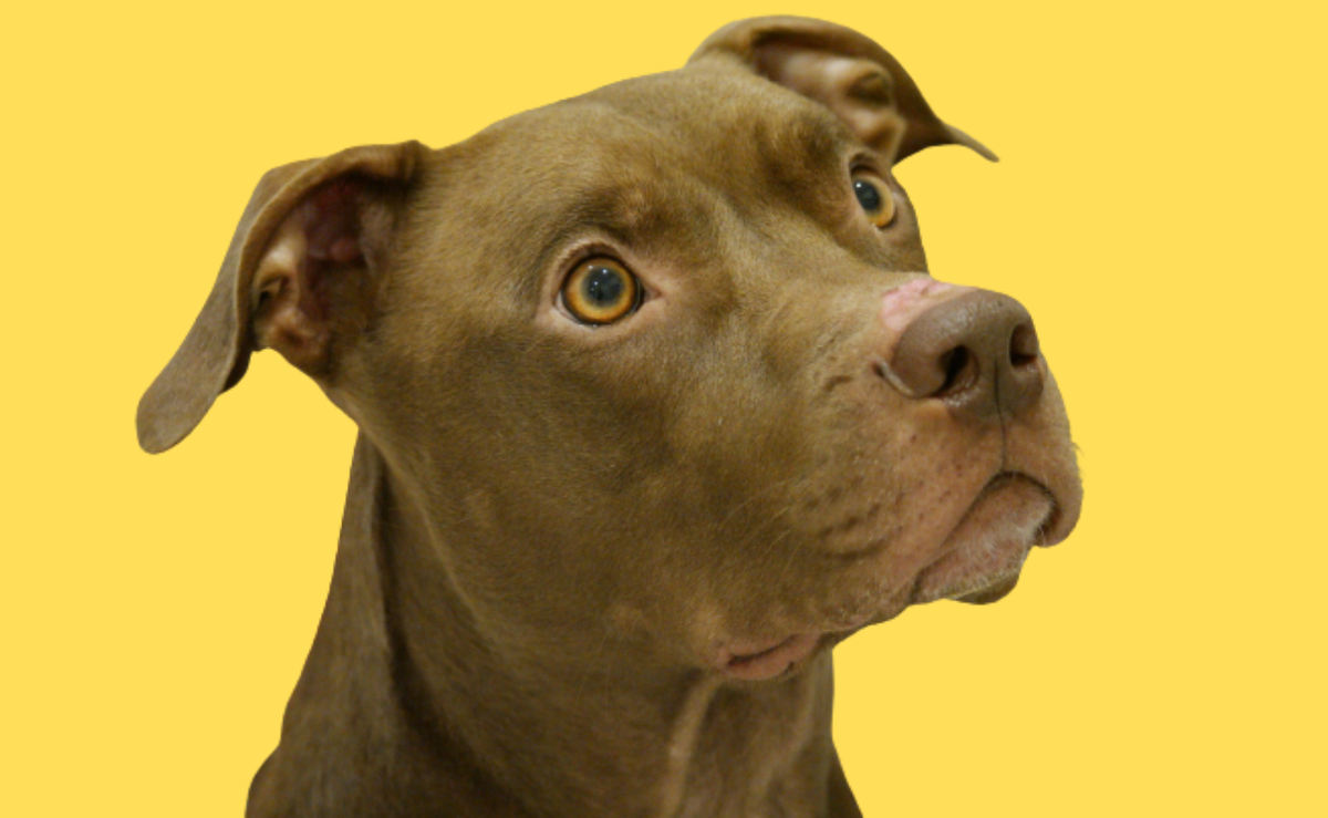 "Что?! Ты хочешь меня оставить с другими людьми?"