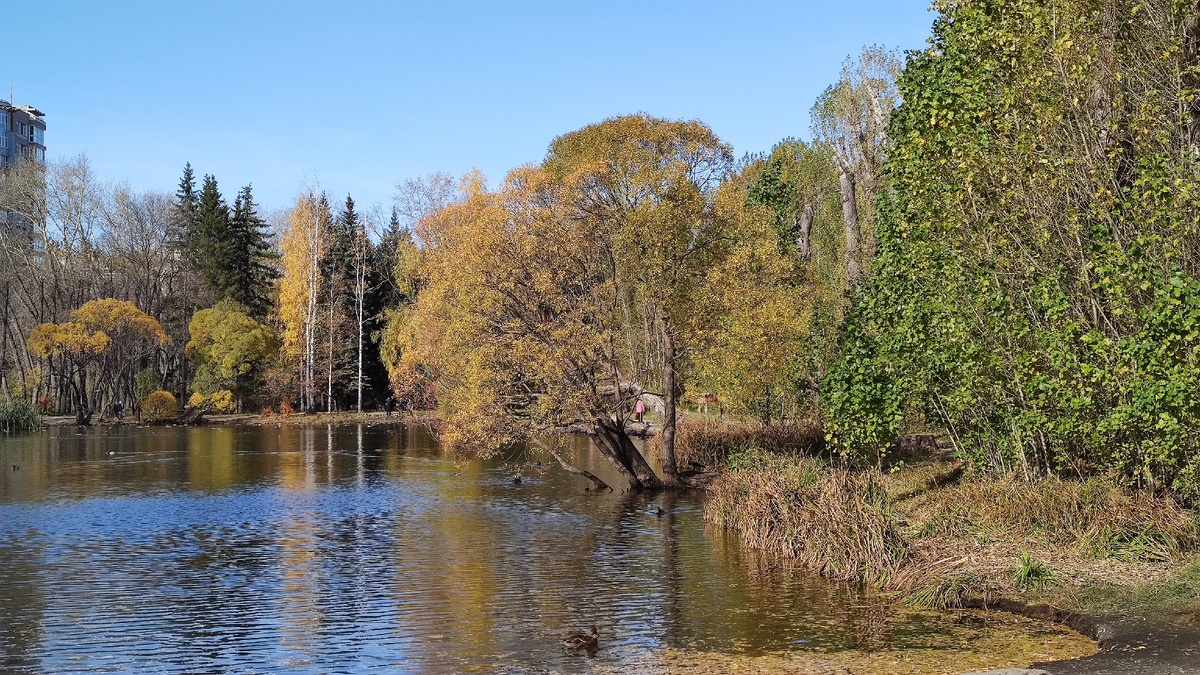 Фото Лианы Романовой