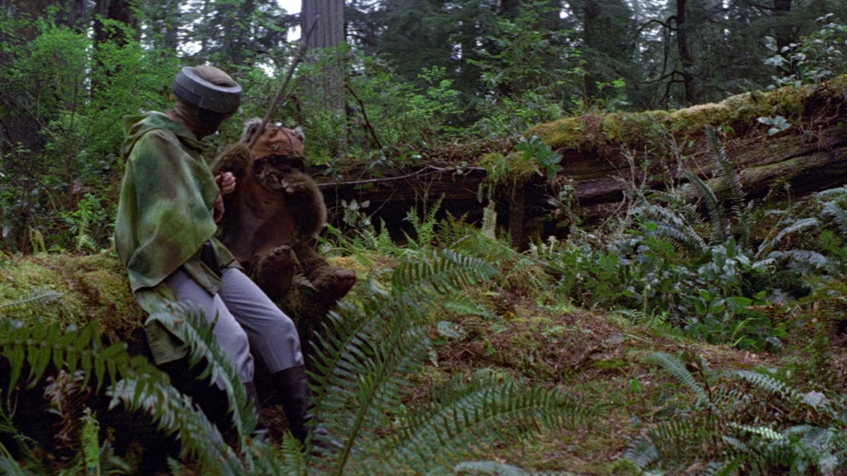 В лесу эпизод. Призрачный лес фильм 2006. Сумерки сага рассвет часть 2 лес. Into the woods фильм 2014. Тёмный лес фильм нетфликс.