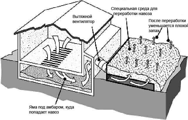 Утилизация навоза