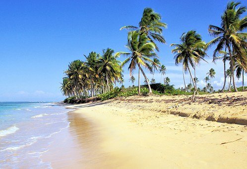 Источник фото: https://pixabay.com