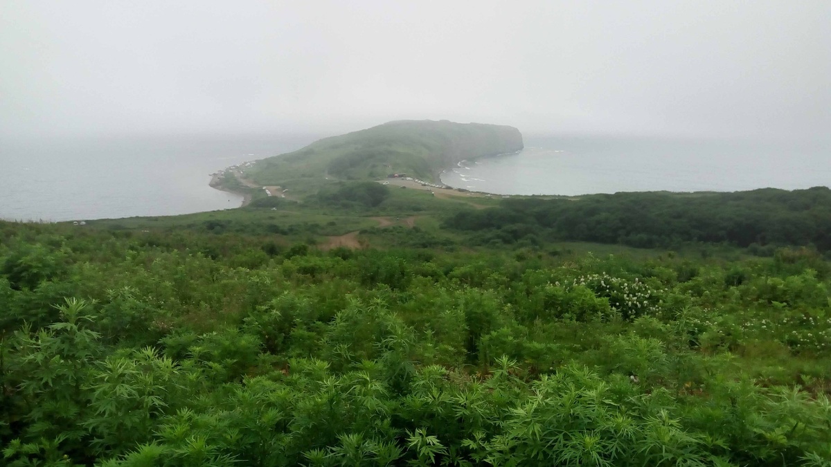 Туманный июнь на Русском