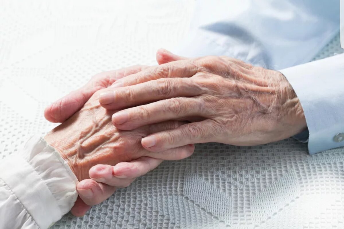 Яндекс картинки