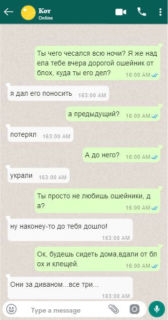 диалог автора 