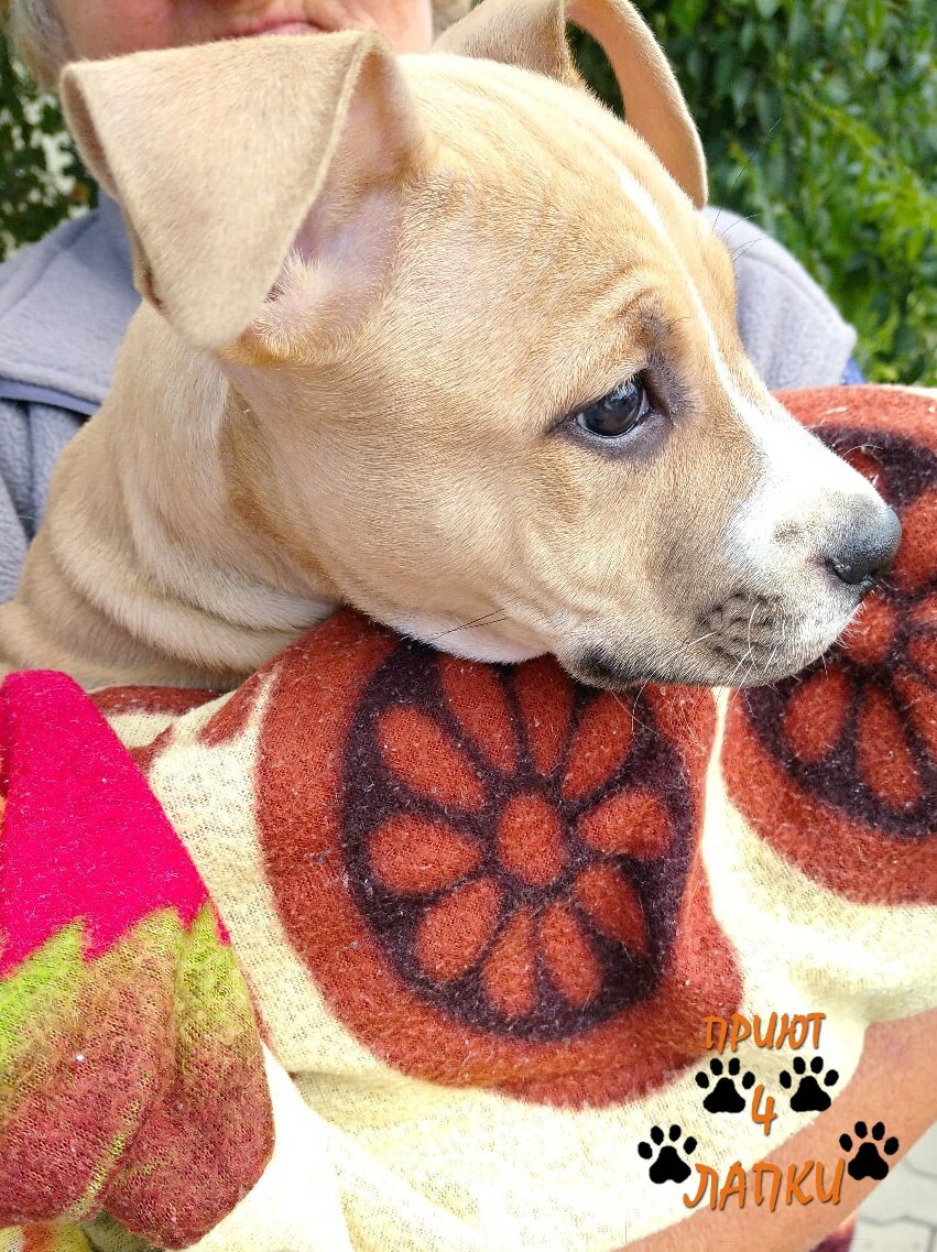 Фото: Шаталов Андрей