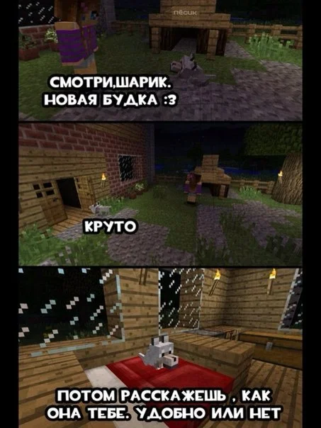 красава песик (1000 IQ)



