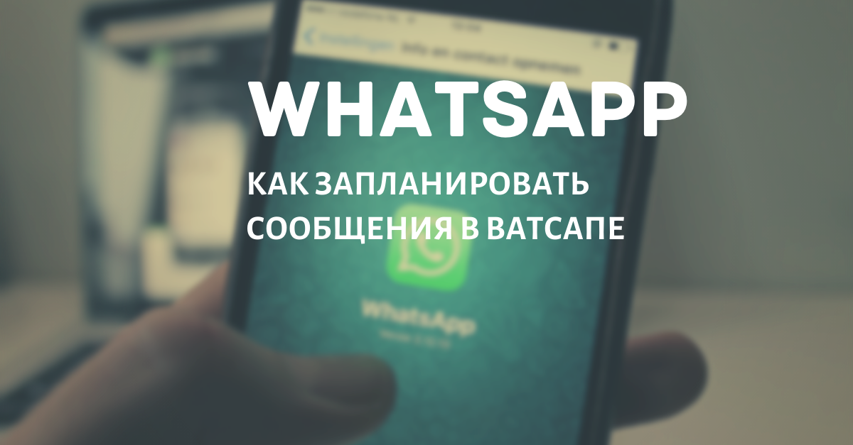 Как сохранить фотографии из WhatsApp на Android, iPhone в году - TimelinesAI