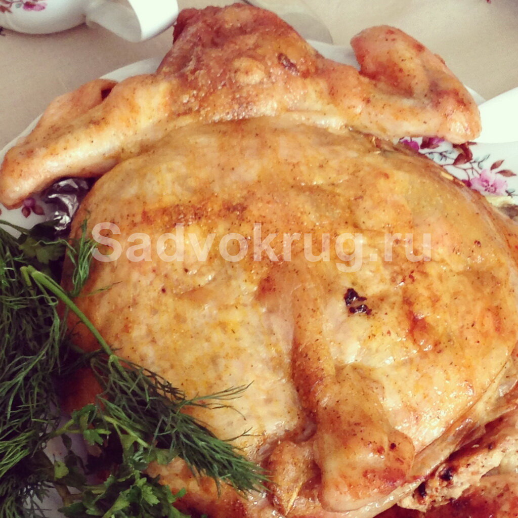 На фото: Фаршированная курочка.