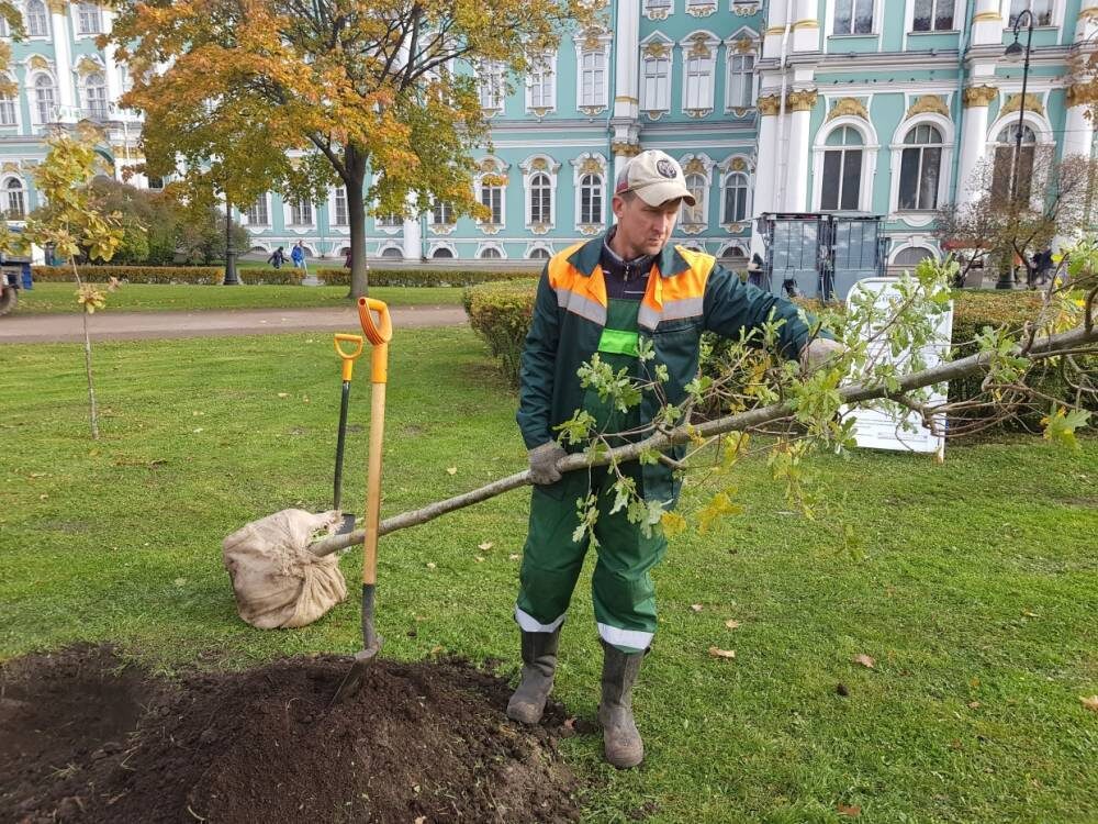 Город дает находящимся под угрозой увольнения общественные работы