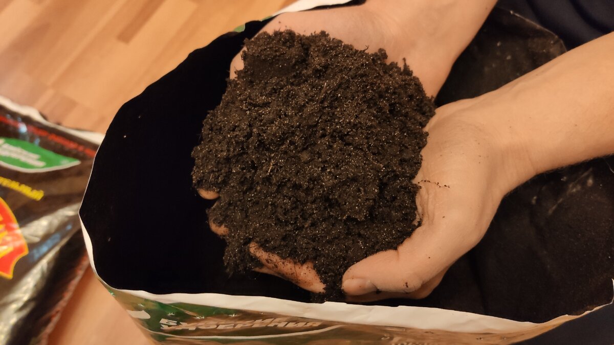 Какую лучше купить почву. Грунт для рассады. Почва для рассады. Хороший грунт для рассады. Грунт рассадный.