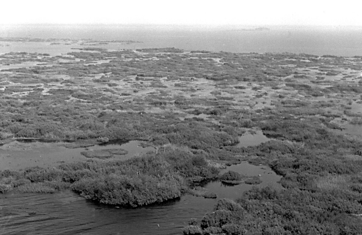 Всплывшие торфяники Центрального Мыса  с высоты птичьего полета в 1968 г.