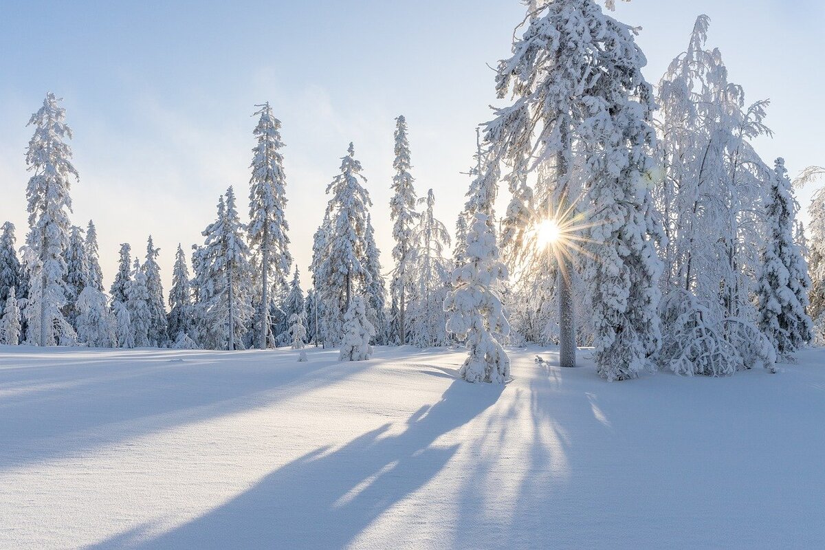 Всё покрыто снегом https://pixabay.com/ru/