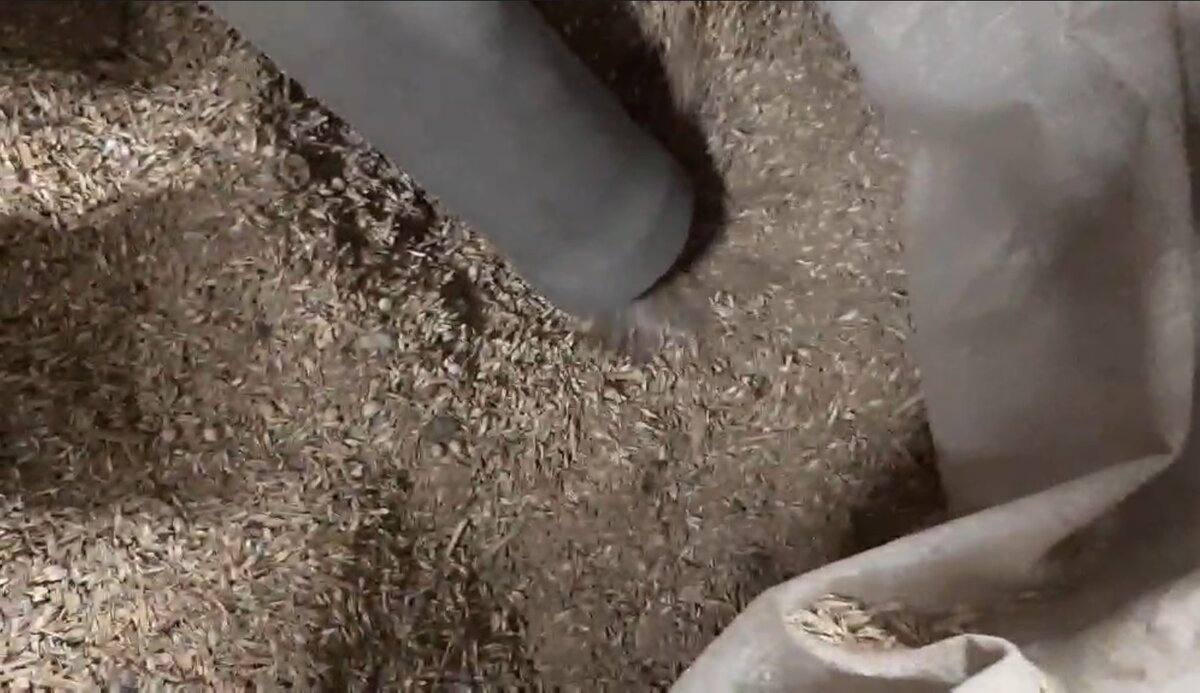 Отходы зернопереработки использованные в качестве топлива в газогенераторной установке.