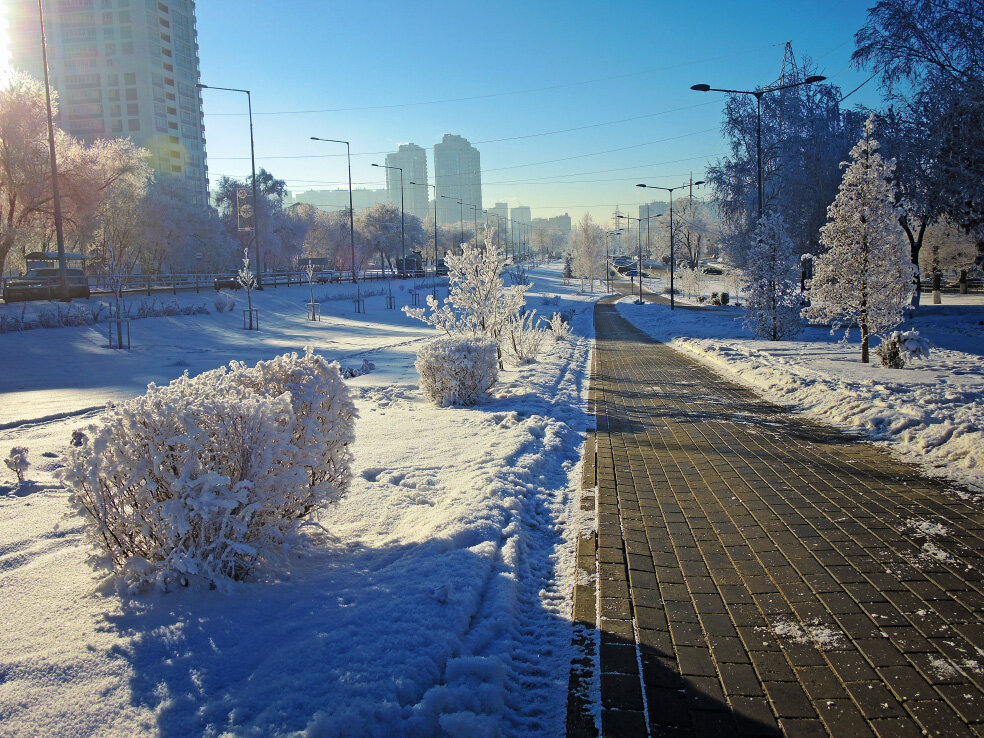 Самара сквер солнечная поляна фото