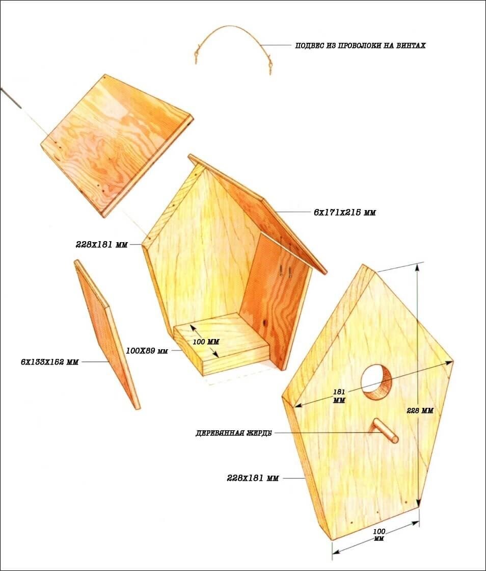 Размеры скворечника: чертеж из доски, как сделать своими руками