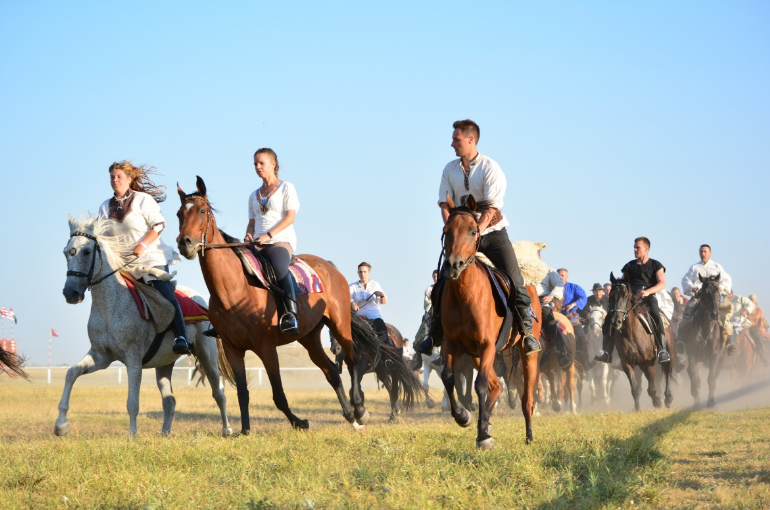 Кросс в конном спорте наглядно на картинке с сайта: https://pxhere.com/ru/photo/1019970