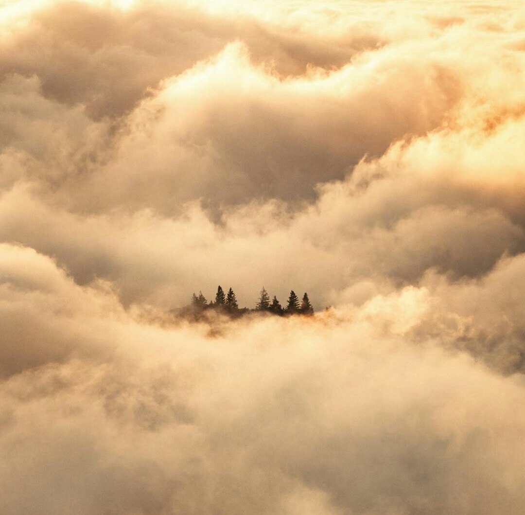 Возрождение магии. Часть 5. Послание