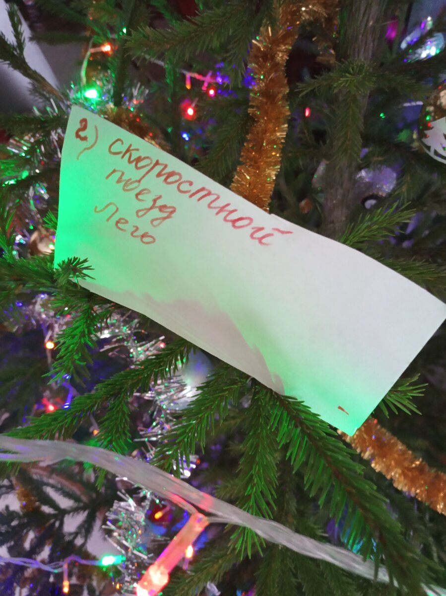 Фото автора. Я писала рукой сына...