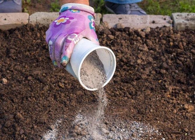 Da secoli le persone utilizzano fertilizzanti naturali per produrre raccolti più grandi, più forti e, soprattutto, più puliti. Quindi, i 7 migliori fertilizzanti organici che puoi preparare in casa.-2