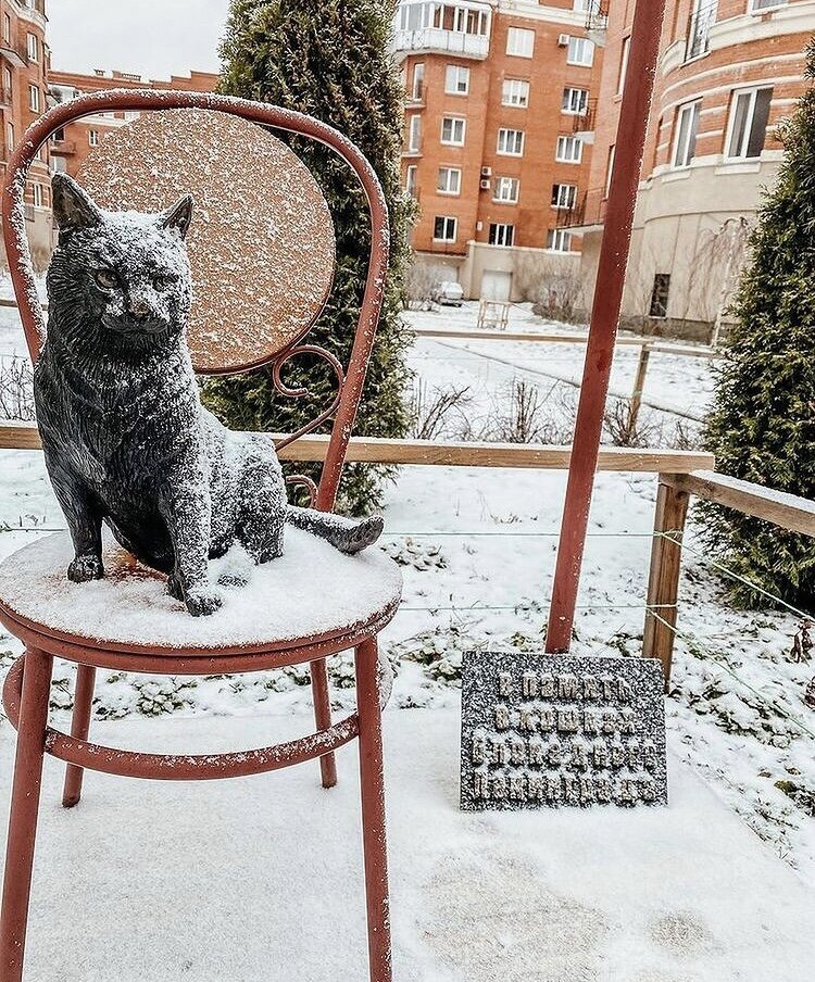 Памятник блокадной кошке