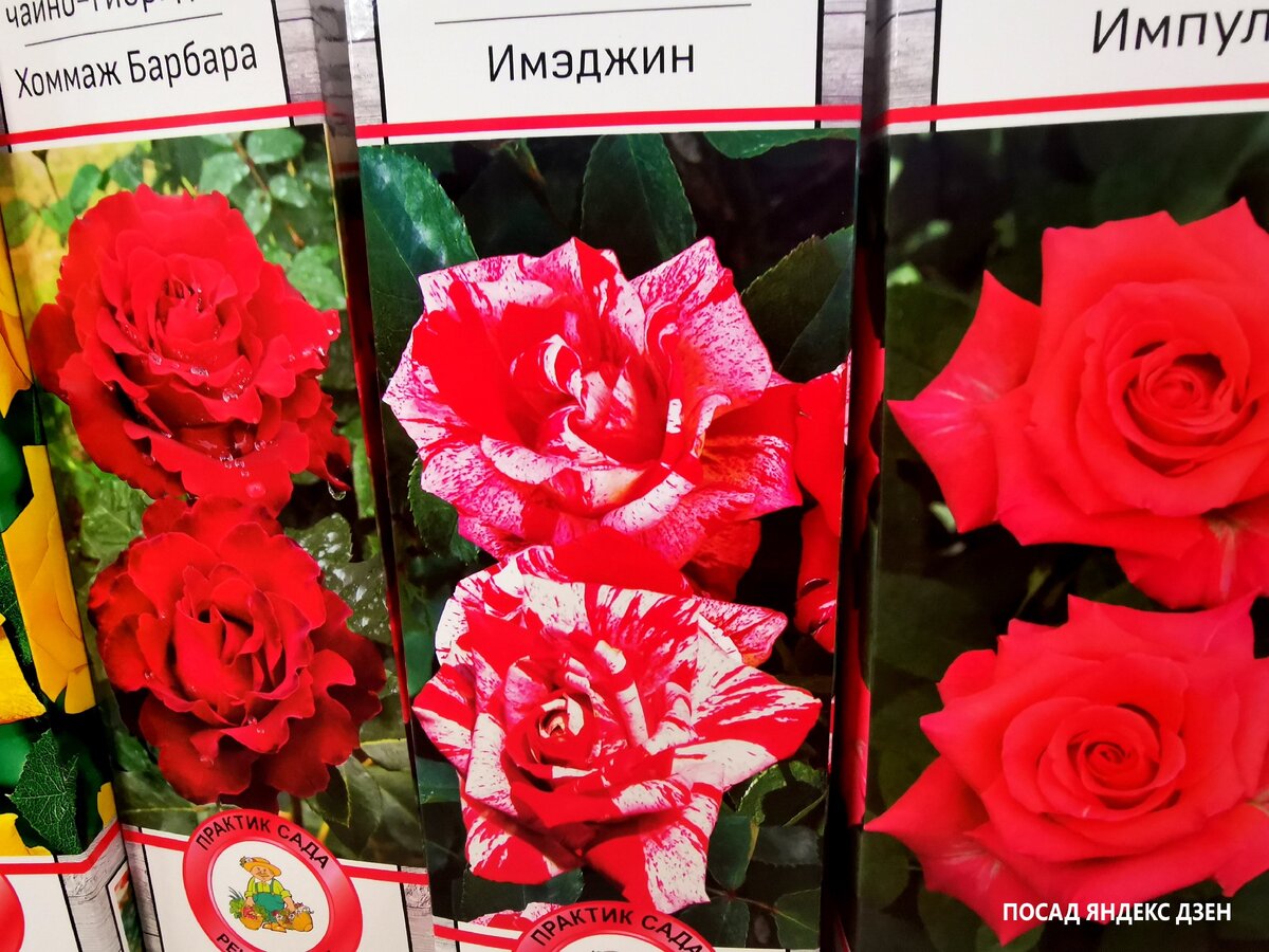 Листайте. Не одной же мне страдать!