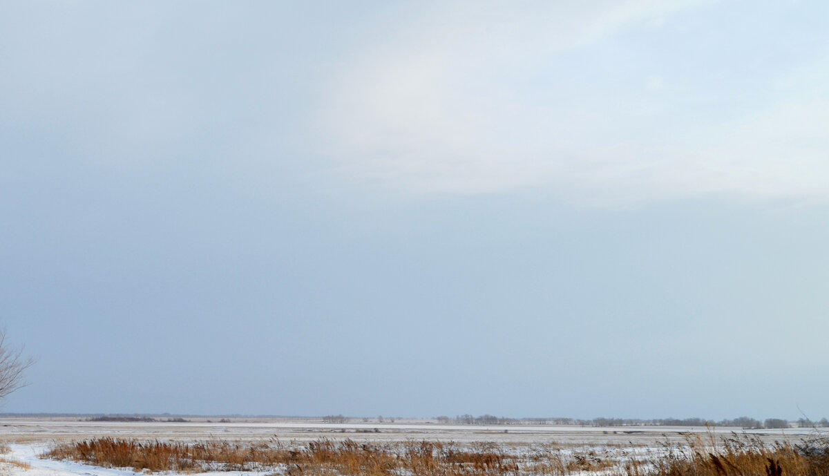 Бескрайние наши степные алтайские просторы