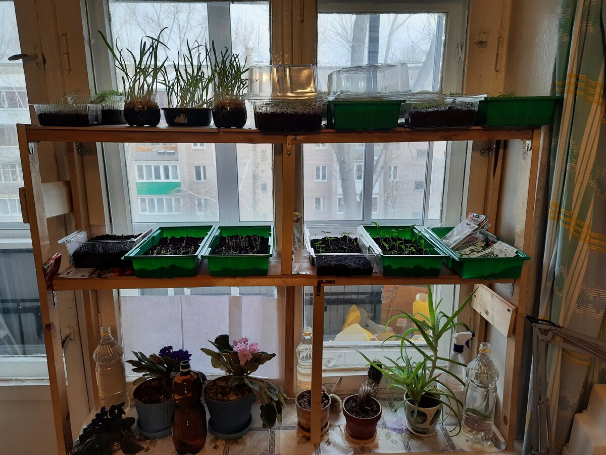 Полки над подоконником из дерева