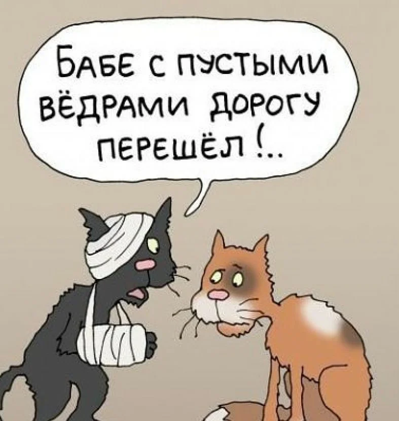 источник - Яндекс. Картинки.