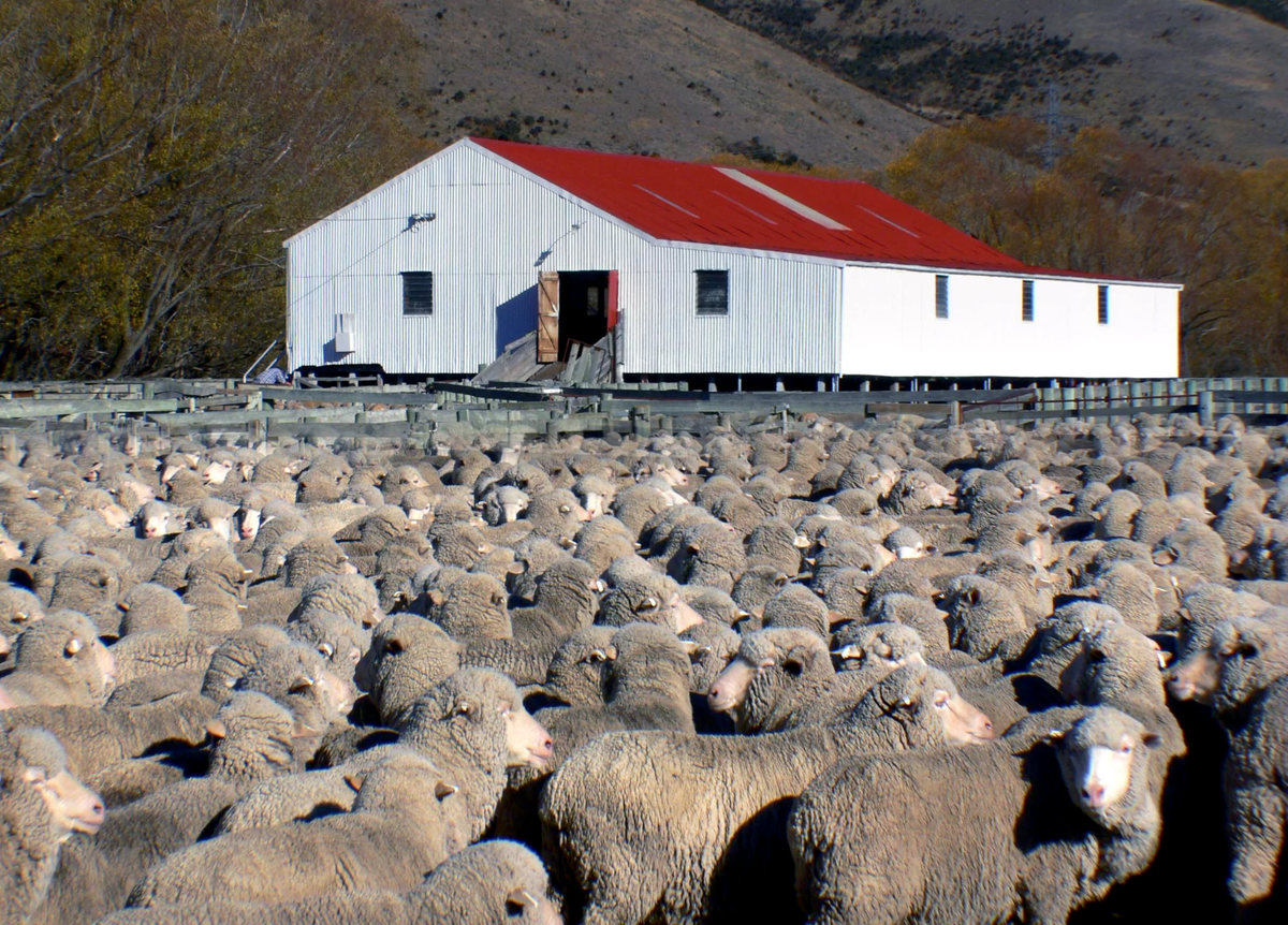 Из открытых источников