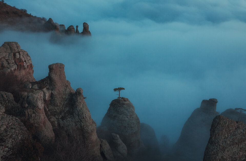 Победитель конкурса 2020 года. Источник: Андрей Белваин, moya-planeta.ru