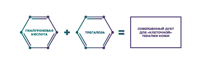 Принцип работы компонентов препаратов линейки REVI