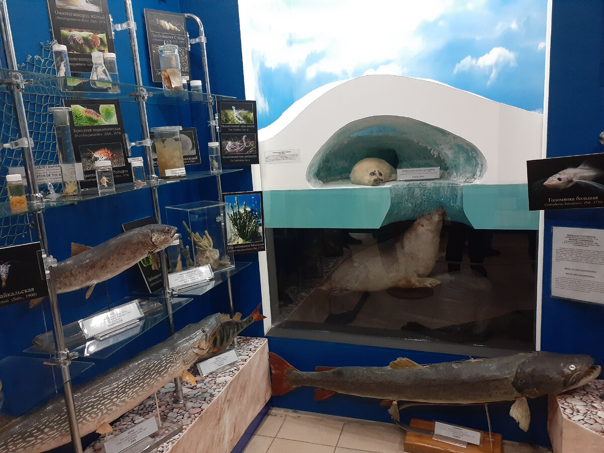 Photos at Байкальский музей - Museum