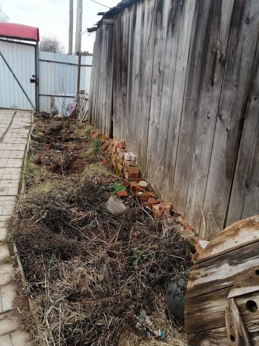 Вот поле в процессе разминирования.  Фото автора.