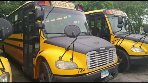 Порно Porn in school bus - Поиск порно видео онлайн