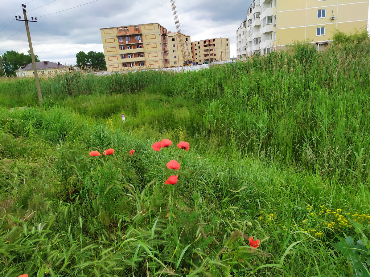 Темрюк активно строится. Новостройки в районе улицы Анджиевского. Фото автора. 2021 
