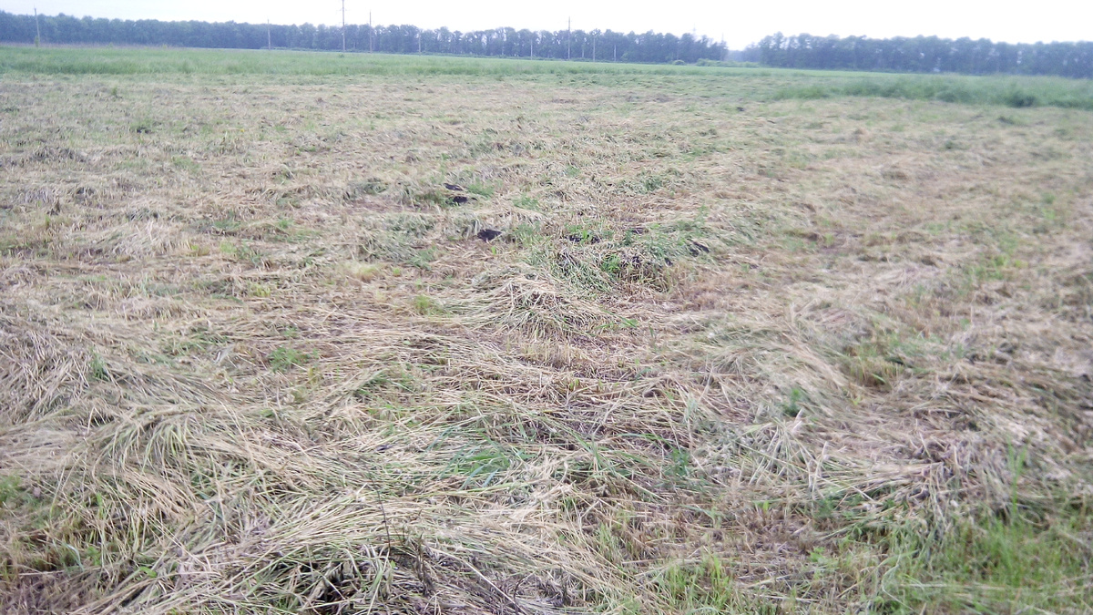 Пора бы уже и на сеновал...