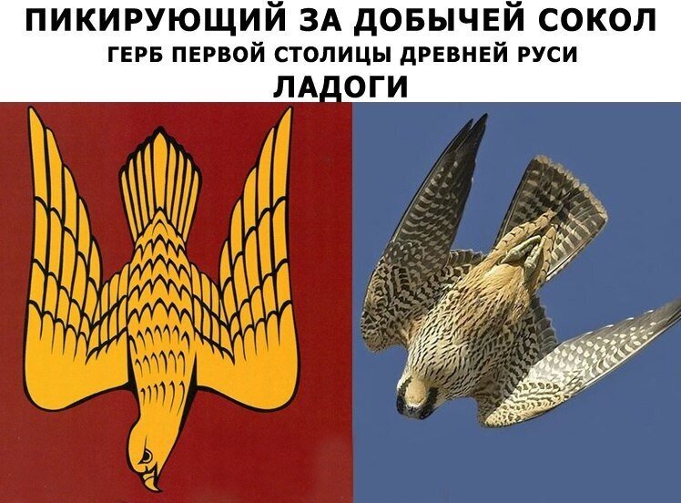 Флаг рюриковичей картинки